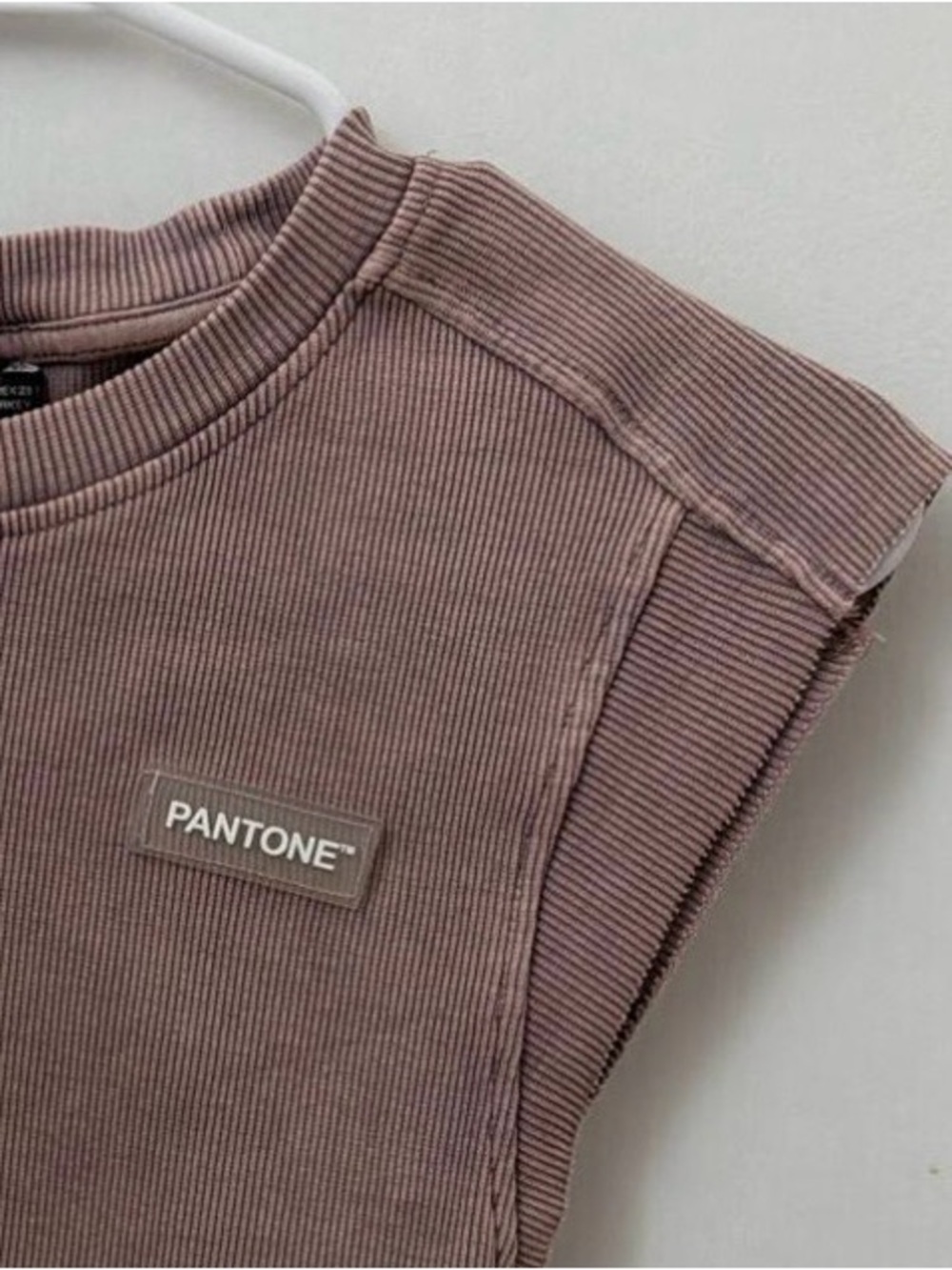 Zara Sleeveless Pantone Logo Tank - Blush Brown Limited Edition.